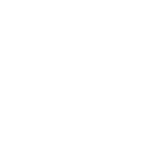 Kundenlogo Startseite 12